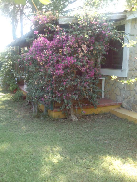 -Exclusive Private Villa- Villasimius Buitenkant foto